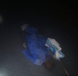 Troops repel insurgents, neutralise suspected informant in Borno